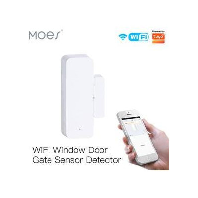 WSS-FL-GWM-A-MS - Smart WiFi okenní a dveřní magnetický Sensor